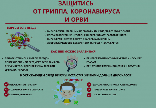 Грипп,коронавирусная инфекция и другие острые респираторные вирусные инфекции (ОРВИ)